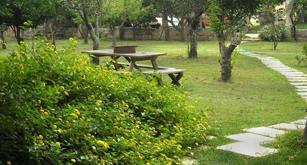 Palazzo Vecchio Bed & Breakfast Marittima Dış mekan fotoğraf